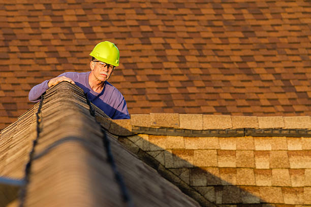 Best Local Roofing Companies  in Williamston, MI