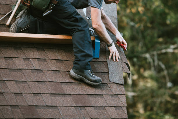 Best New Roof Installation  in Williamston, MI